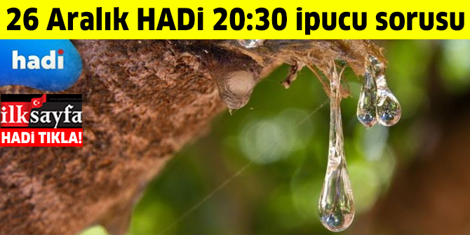 26 AralÄ±k HADÄ° 20.30 ipucu: Damla sakÄ±zÄ± nereden elde edilir?Â âââââââ