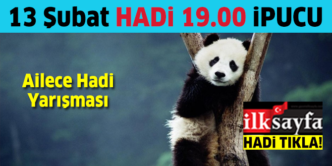 13 Åubat Ailece HADÄ° ipucu: PandalarÄ±n olmazsa olmazÄ± nedir? Hadi 19.00 ipucu sorusu ve cevabÄ±