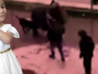 Asiye'ye pitbull saldırısında tutuklu 3 sanık, 3'üncü kez tahliye oldu