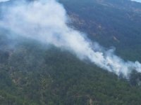 Muğla'daki orman yangını söndürüldü
