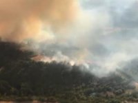 Adana'da orman yangını