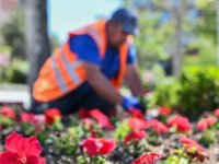 ANFA Genel Müdürlüğü ekipleri, mevsimlik çiçekleri toprakla buluşturdu