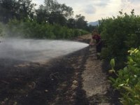 Muğla'da tarım arazisi ve otluk alanda çıkan yangınlar söndürüldü