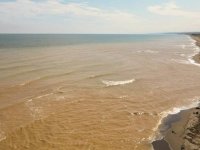 Sakarya'da sağanağın ardından Kocaali sahilinde kirlilik oluştu