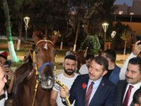 Bakan Soylu’ya ‘Suruç’ isimli yarış atı hediye edildi