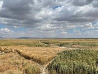 Akşehir Gölü'ndeki kuraklığın etkileri alınacak tedbirlerle azaltılabilir