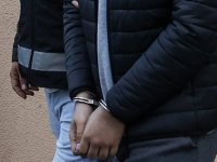Konya'daki barınak görüntülerine ilişkin 2 şüpheli gözaltına alındı