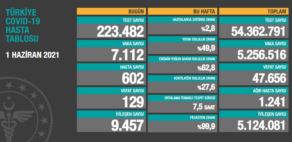 1-haziran-2021-tablo.jpg