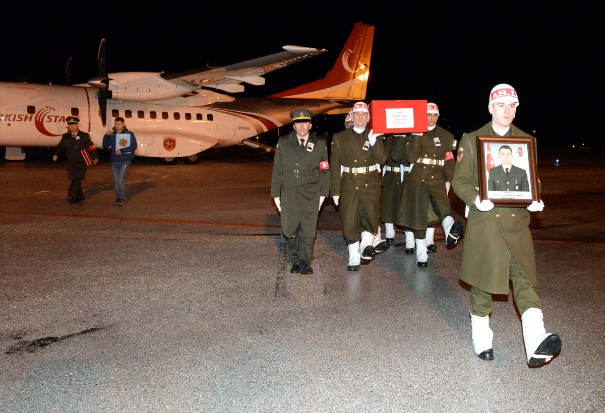 11-007.jpg