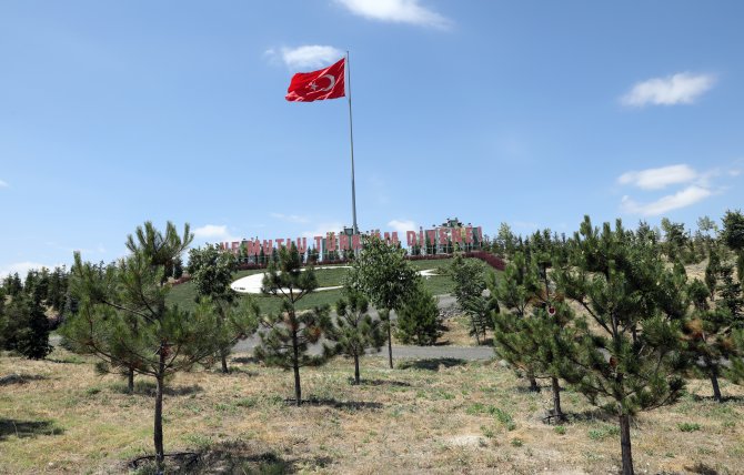 15-temmuz-ormani-1.jpg