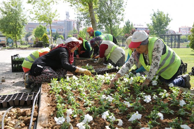 2019-yilinda-golbasinda-yesil-alan-rekoru-(9).jpg