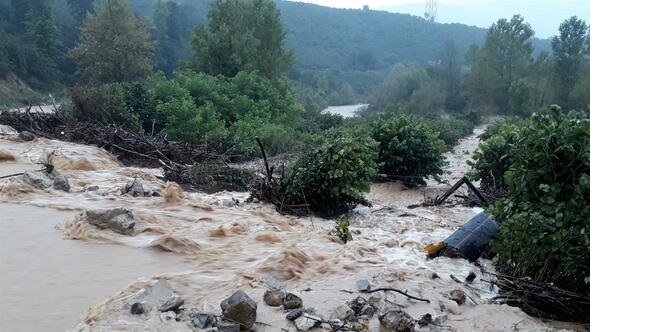 7-003.jpg
