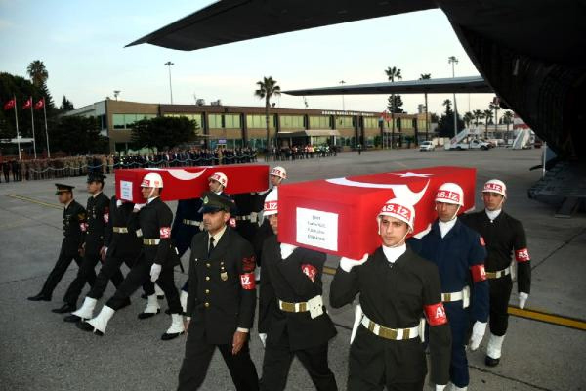 8-009.jpg