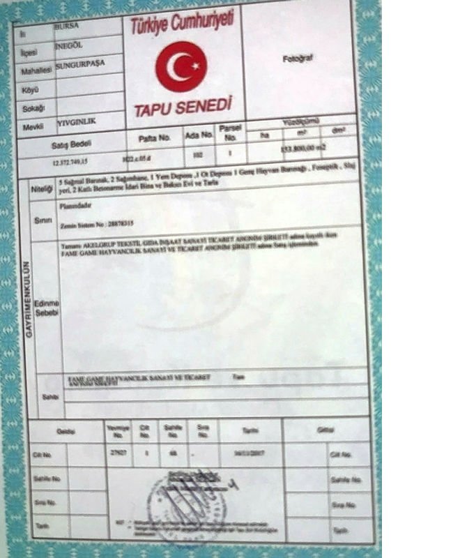 arsa.jpg