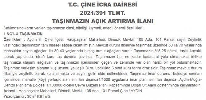 aydin-cine-icradan-satilik-zeytinlik.jpg