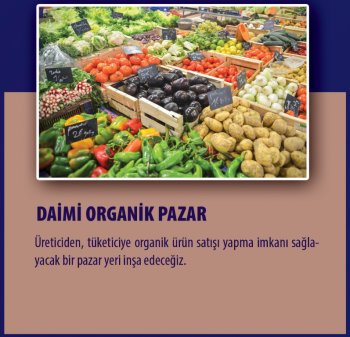 daima_organik_pazar-1-001.png