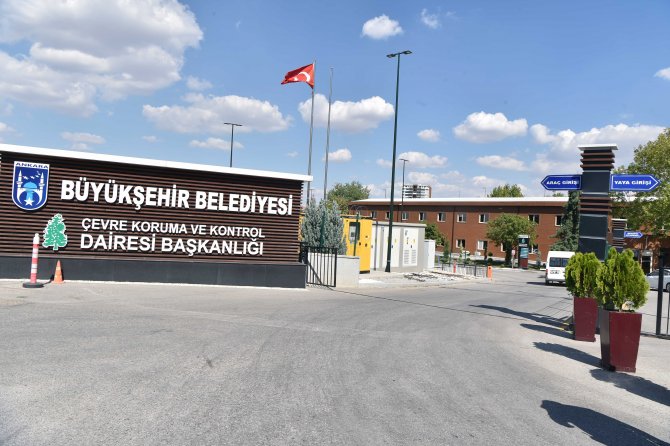 dnr_8864.jpg