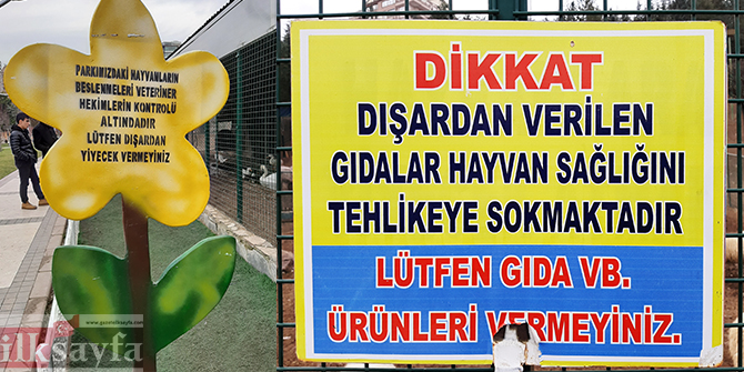 dogal-yasam-parki,-ihlamur-vadisi,,,.jpg