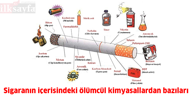 dunya-koah-gunu,ankara-sehir-hastanesi,ash,idari-bina-konferans-salonu,aysegul-karalezli,,.jpg