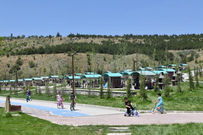foto-(3)-005.jpg