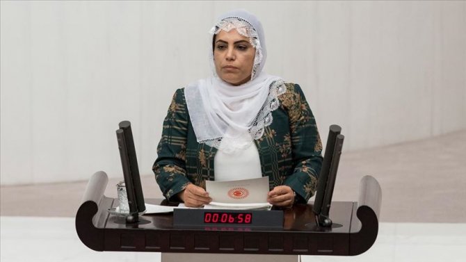 hdp.jpg