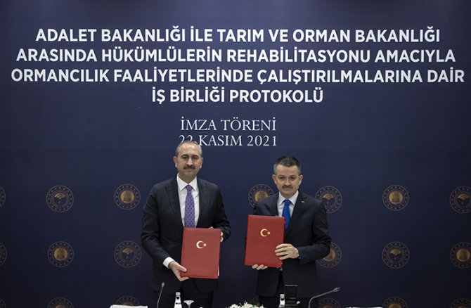 imza-toreni.jpg