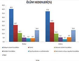 istatistik.gif