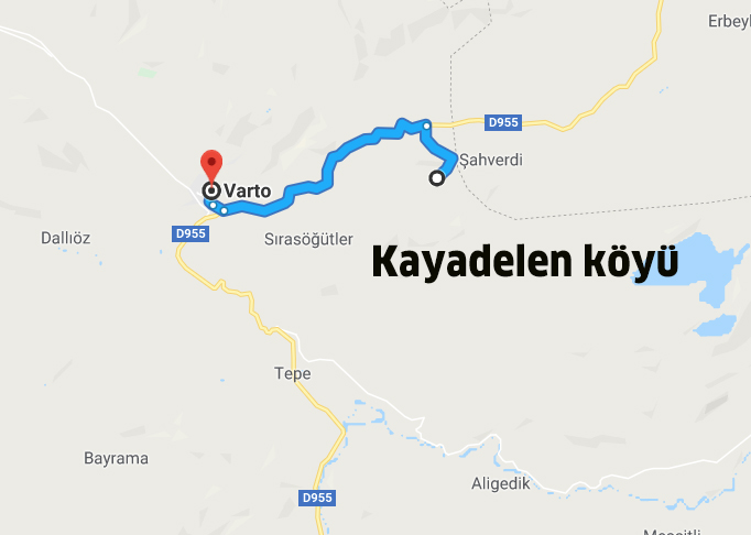 kayadelen-koyu.jpg