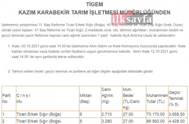 kazim-karabekir-tigem-satilik-sigir-ve-koyun.jpg