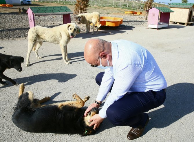 kecioren_belediyesinden_rekor_tedavi_hizmeti_kecioren.bel.tr_8376.jpg