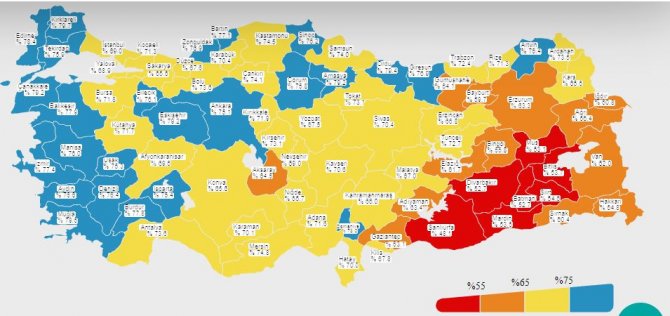 kovid-19-asi-haritasi.JPG