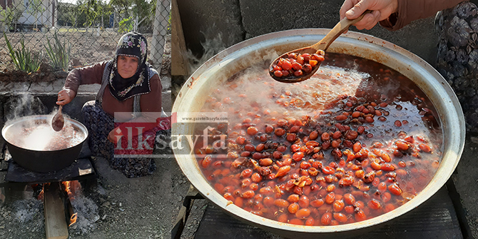 kusburnu,-sifa-kaynagi,-faydasi,-kusburnu-marmelati,-kusburnunun-faydalari,,.jpg