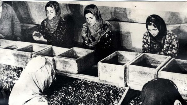milli-mucadele-kadinlari.jpg