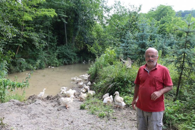 ordu-pekin-ordegi3.jpg