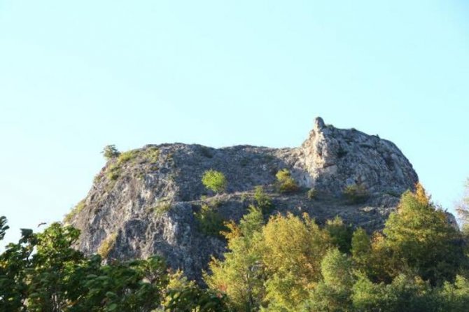 teog-sampiyonu-intihar-etti2.jpg