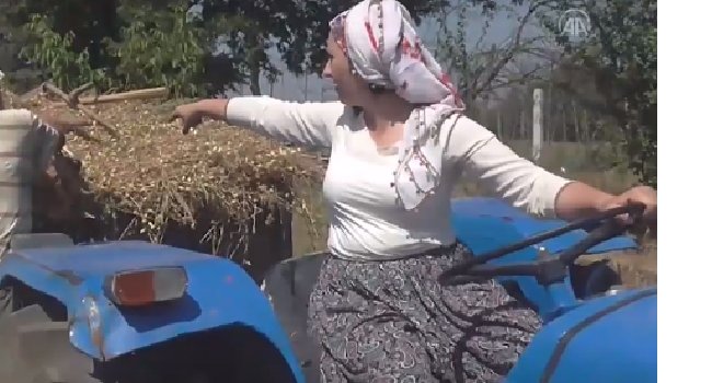 traktor.jpg