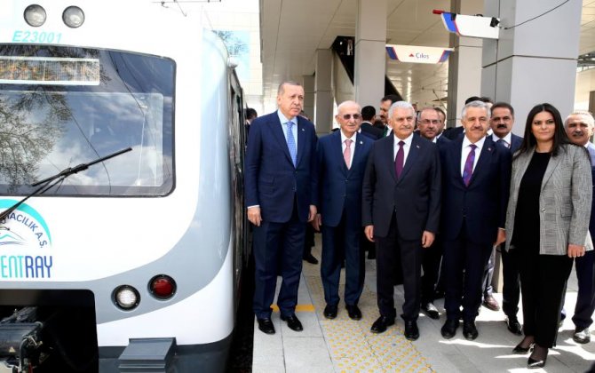 tren.jpg