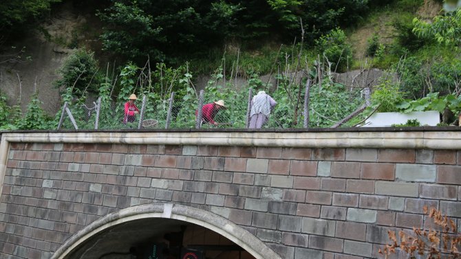 tunel-tarla2.jpg