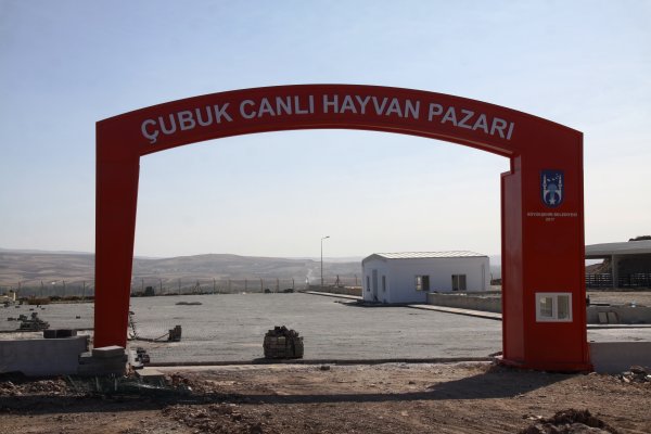 yeni-canli-hayvari-pazari-02.jpg