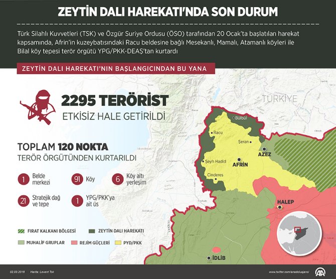 zeytindali.jpg
