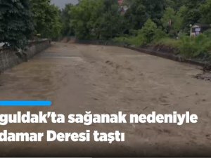 Zonguldak'ta sağanak nedeniyle Çaydamar Deresi taştı