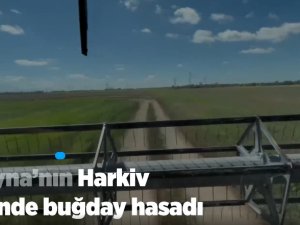 Ukrayna'nın Harkiv kentinde buğday hasadı